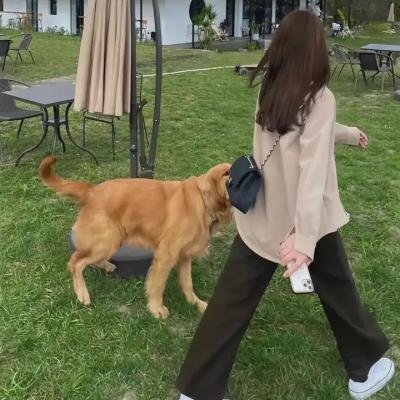 热血激辩社